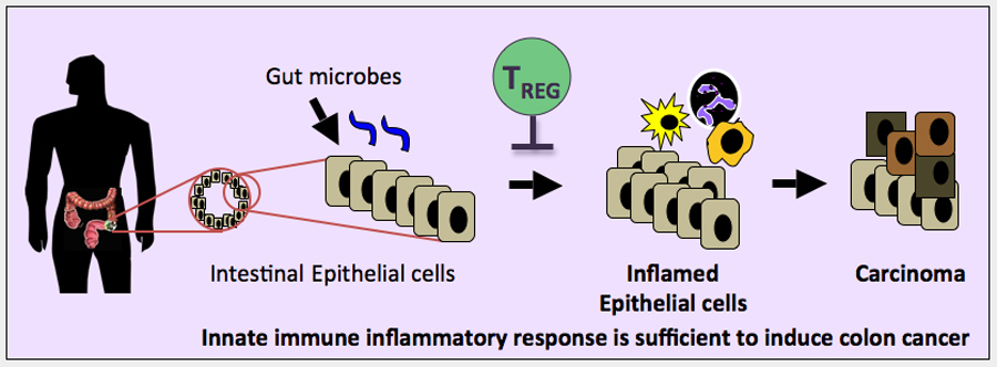 immunity